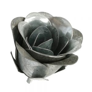 Rosa de lámina FH-2135